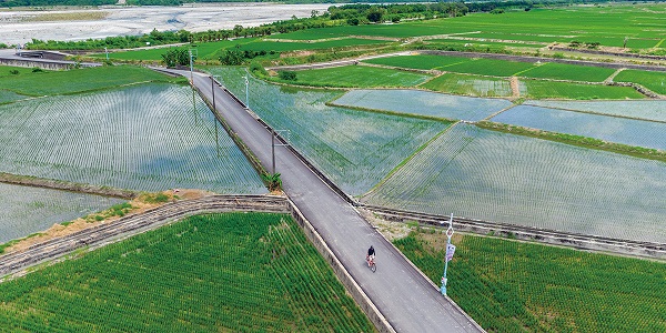 來去部落朋友家　暢飲花東部落風土