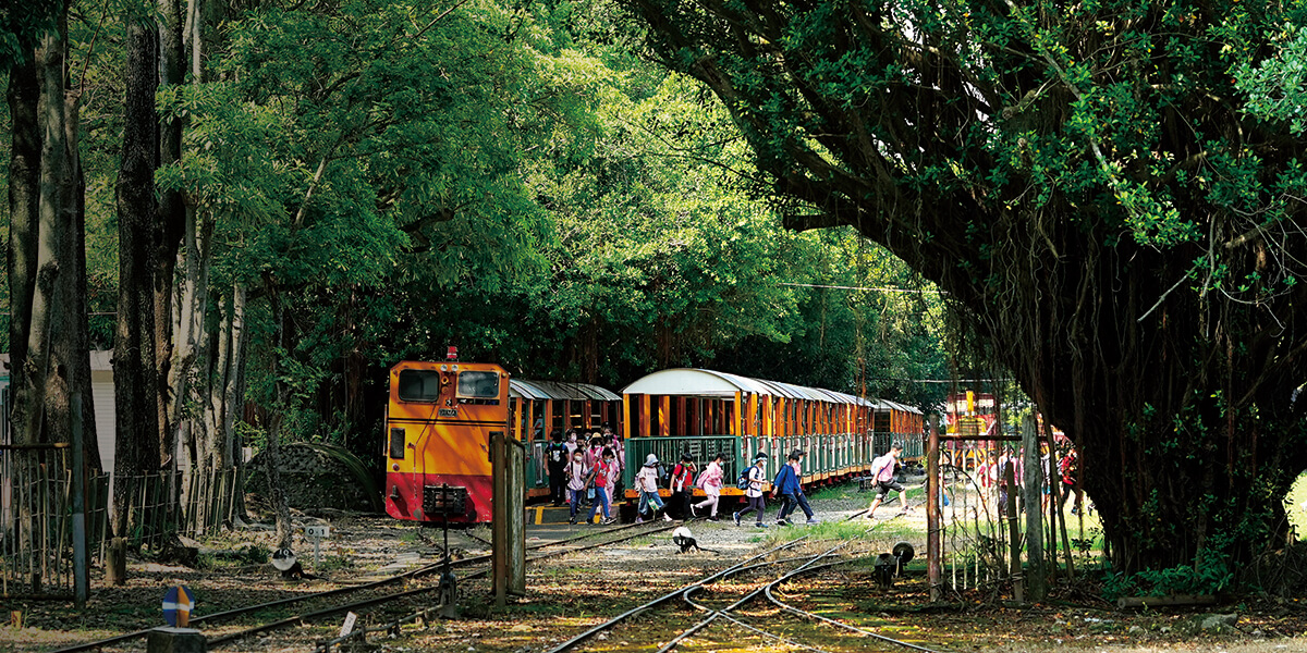 穿越時光記憶的列車