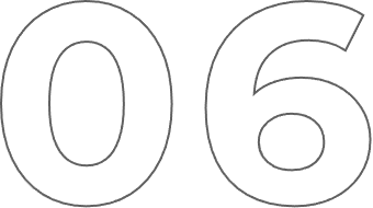 06